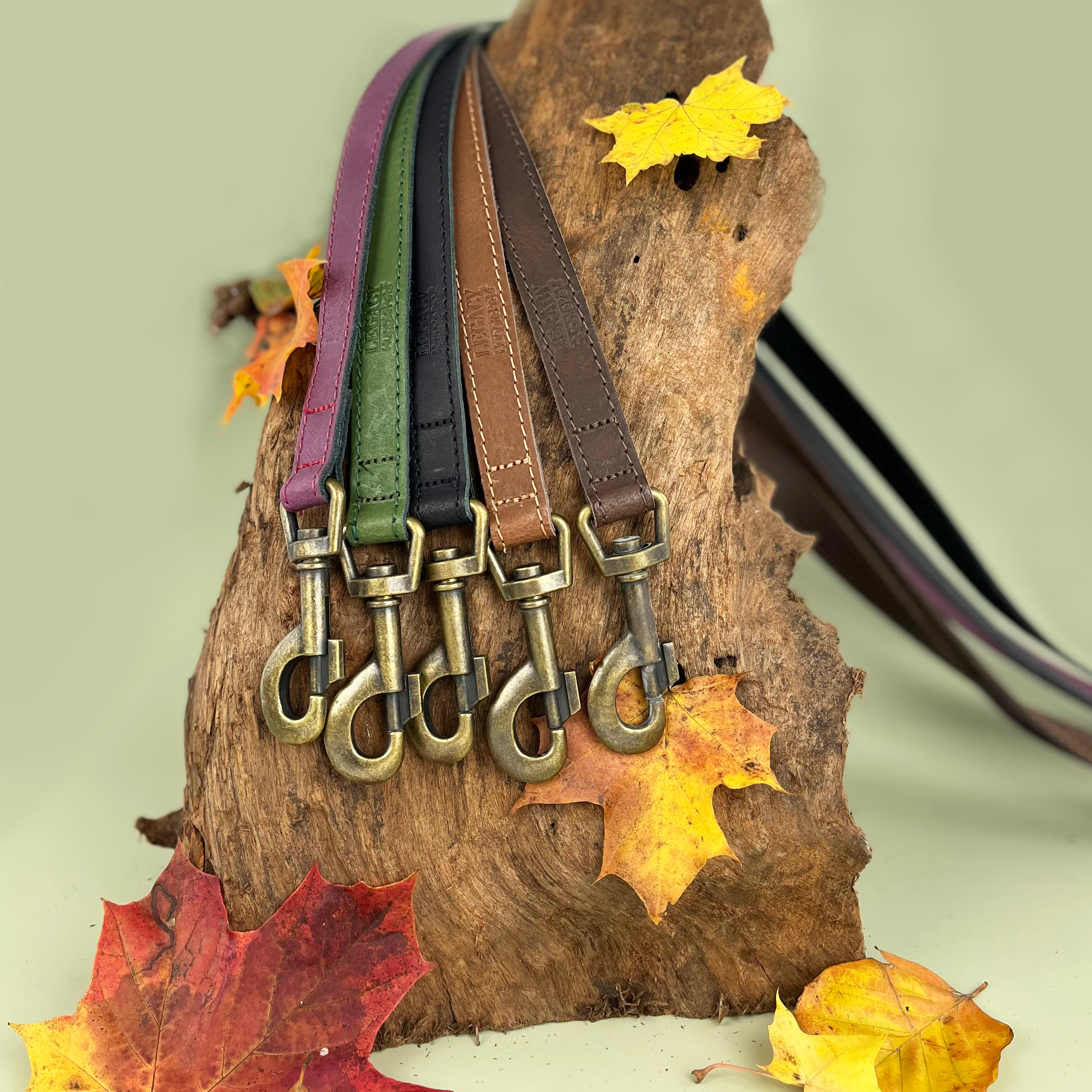 HugglePets - Wholesale Pet Leash - Dog - HugglePets Legacy Leather Dog Lead33