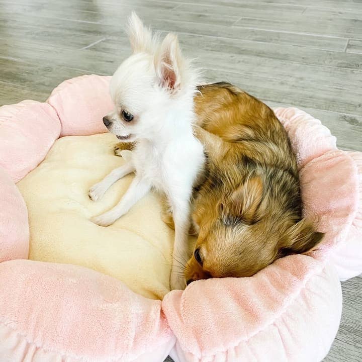 TONBO - Wholesale Pet Bed - Cat/Dog - TONBO Pastel Pink Flower Pet Bed2