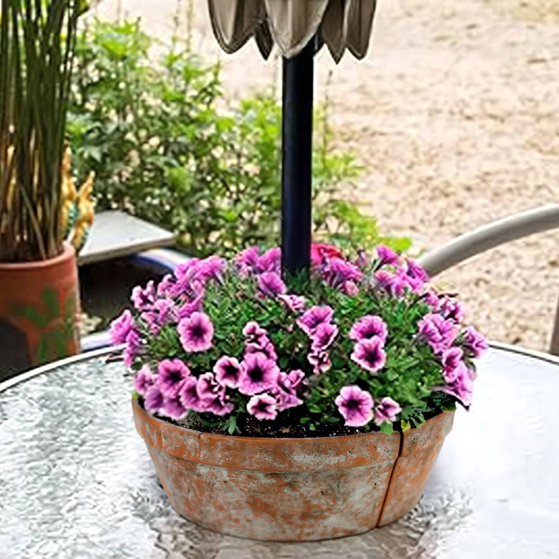 HomArt - Wholesale Plant Pot - Tresco Umbrella Planter, Cement – Terra Cotta7