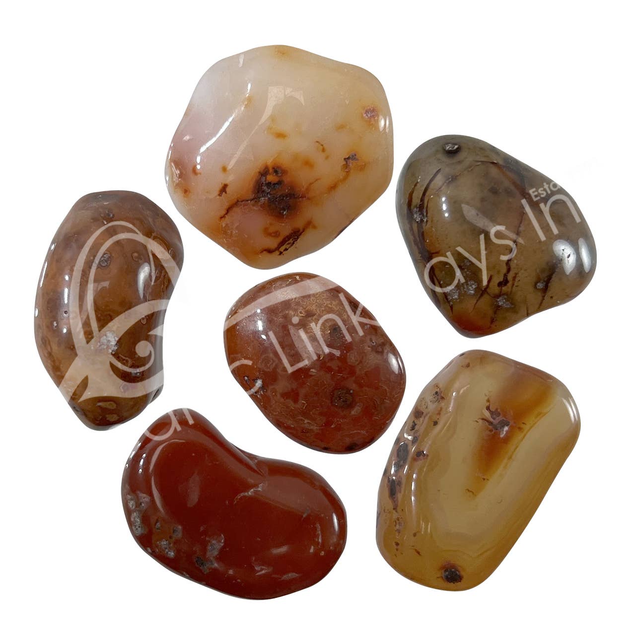 Oceanic Linkways Inc - Wholesale Spiritual Stone/Crystal - TUMBLED STONES - CARNELIAN B 20-35 MM (KG)2