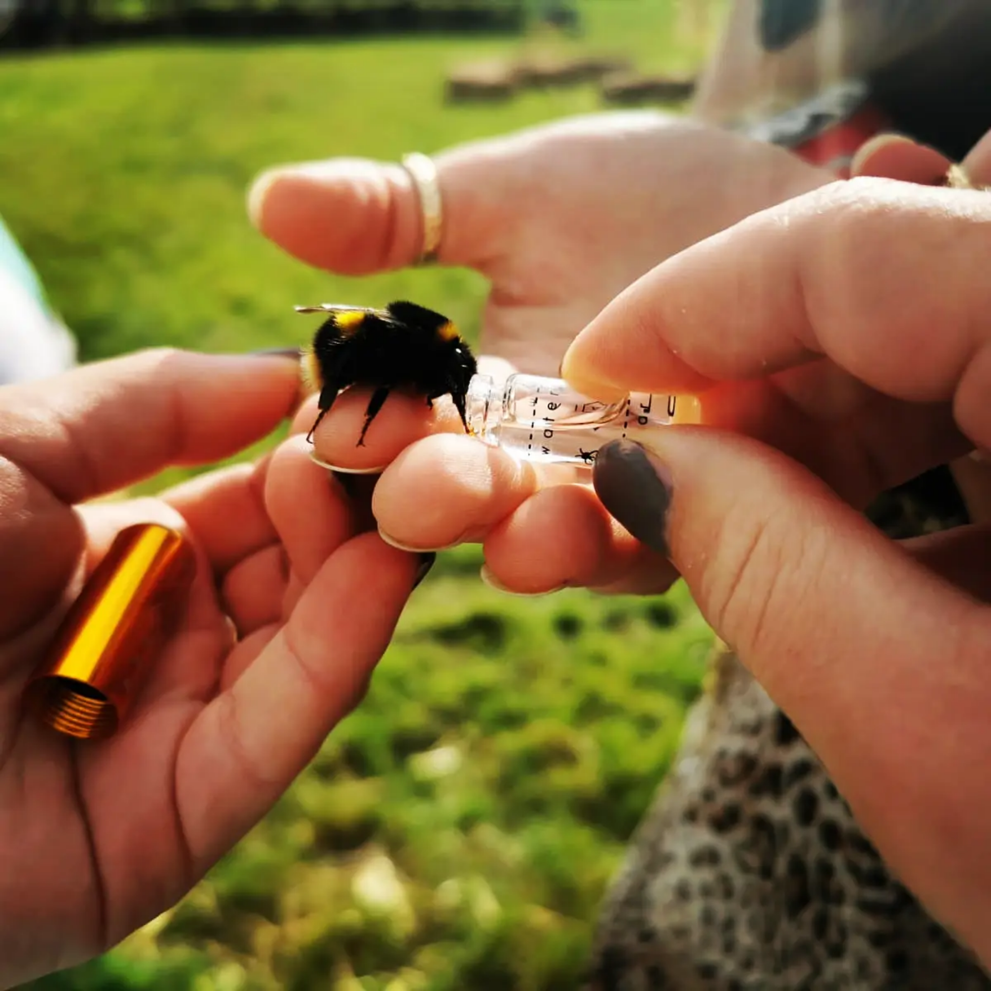 Beevive Ltd – wholesale Keychain – Unisex – The Original Bee Revival Kit with Bee ID Tag 🐝1
