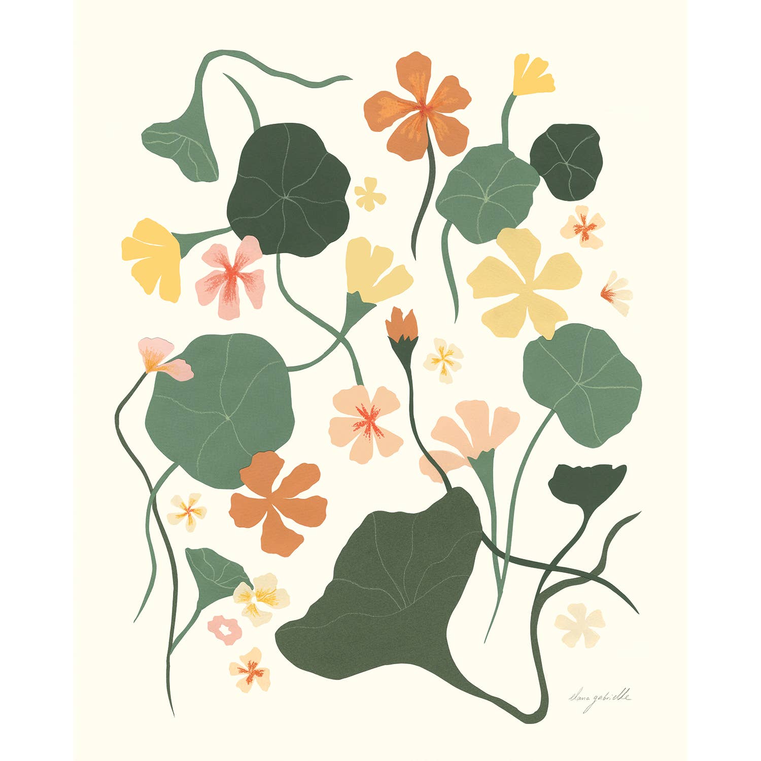Elana Gabrielle - Wholesale Art Print - Nasturtiums Print - Multiple Sizes1