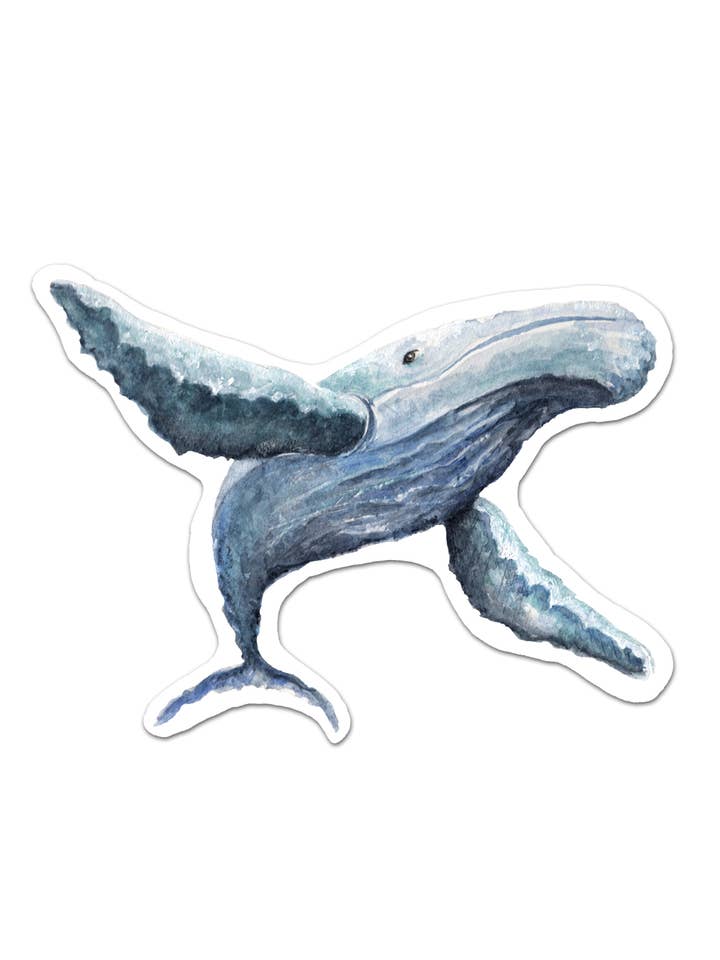 Heart of a Whale Sticker for wholesale by Lizzy & Grace