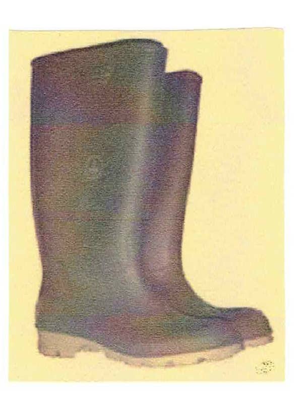 Let's Get Sloshed Funny Birthday Card | Rubber Boots Drinking Humor for wholesale by BlueSpecsStudio