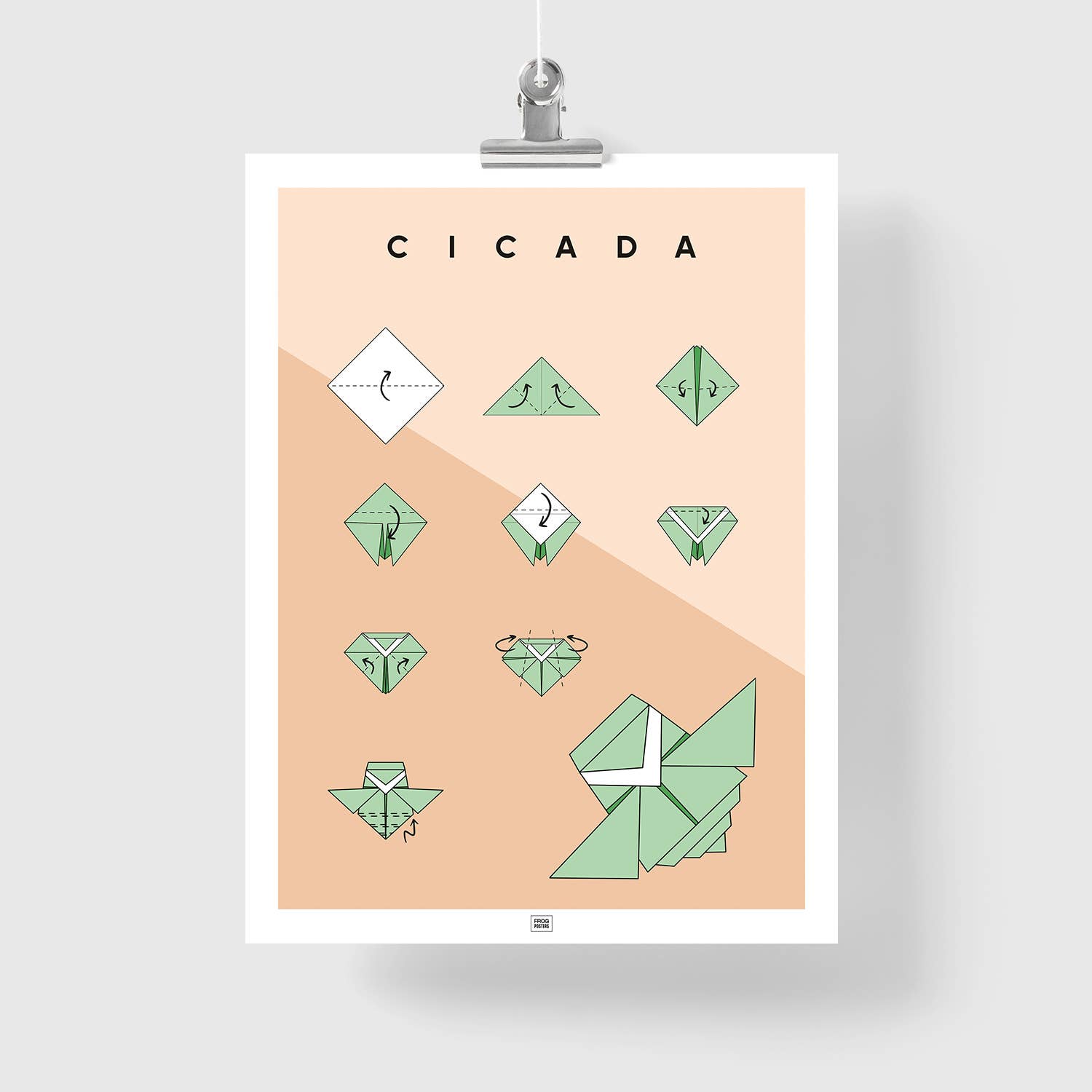 FROG POSTERS - Wholesale Poster - Origami Cicada Poster4