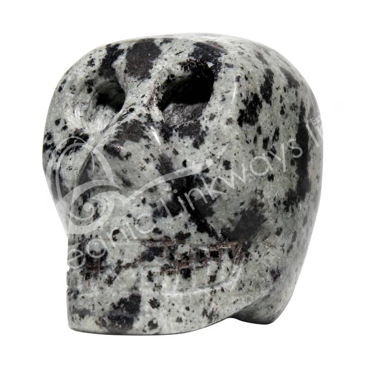 Oceanic Linkways Inc - Vendita all'ingrosso Pietra/cristallo spirituale - (PC)TESCHIO - DIASPRO, DALMATA 3 X 2"0