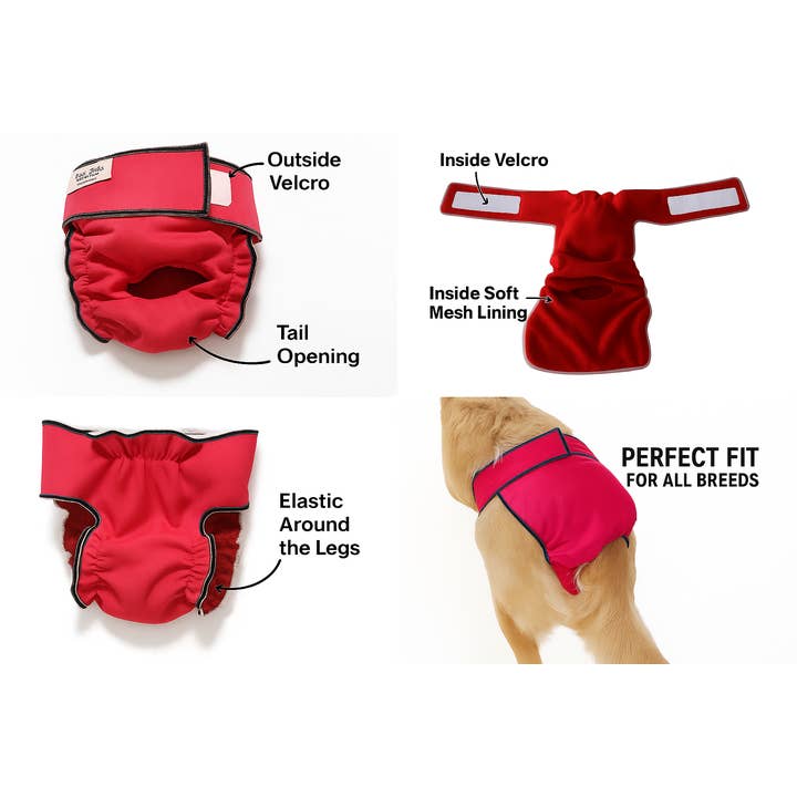 Jack & Jill Dog Diapers - Wholesale Pet Diaper - Dog - Female Dog Diaper-Britches With Tail Opening Black2