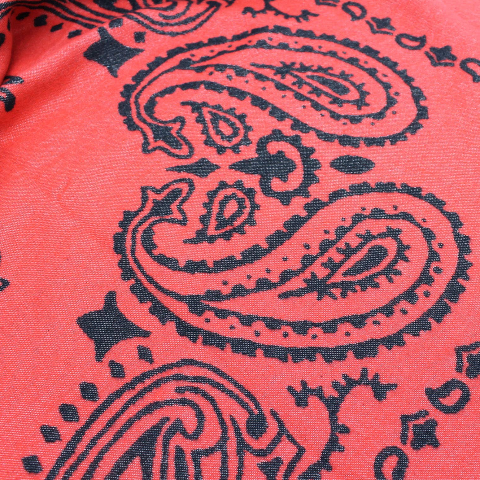 Vimoda - Wholesale Scarf - Women's - Large paisley pattern bandana scarf10