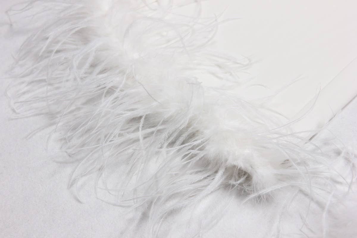 Productseeker – Engroshandel Habitter – til kvinder – SET069 Elegant strutsefjerblazer og buksesæt28