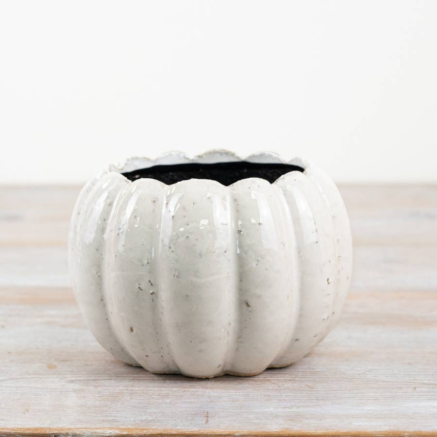 Gainsborough Giftware x Portland Living - Vendita all'ingrosso Vasi per piante - Vaso a forma di zucca in ceramica, 14 cm1