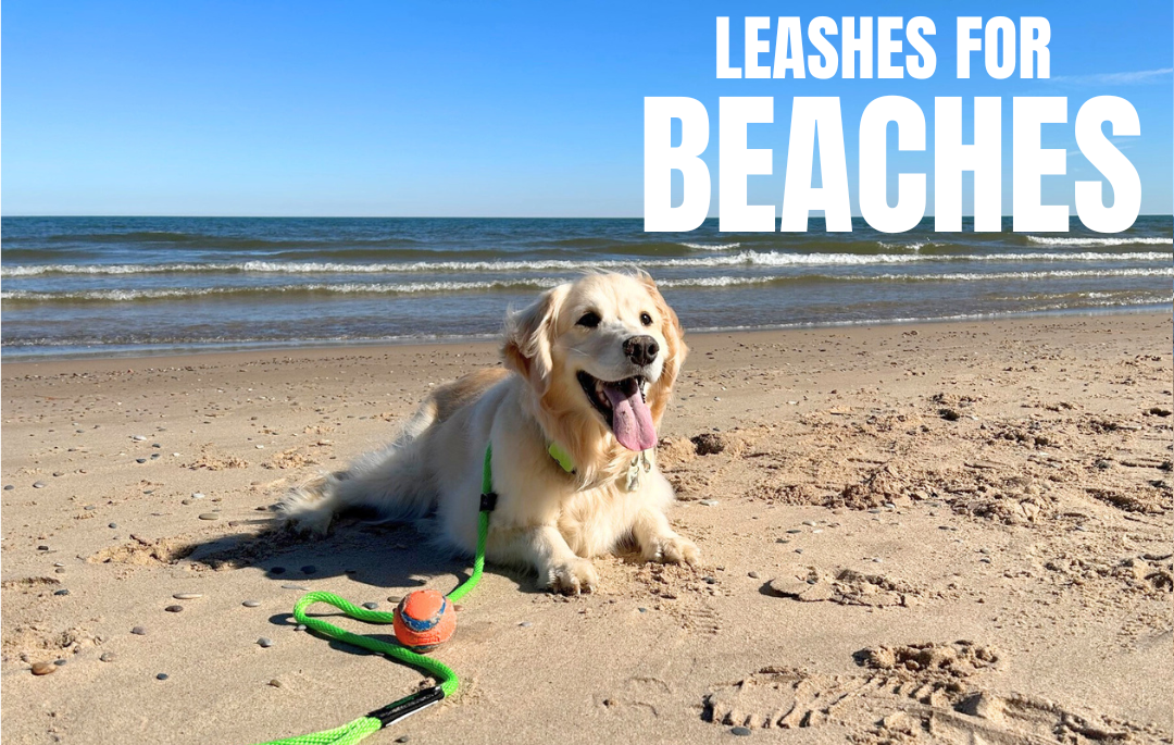 SOFT LINES - Wholesale Pet Leash - Dog - Swim Snap Leash w/ Stainless Steel Hook Clip2