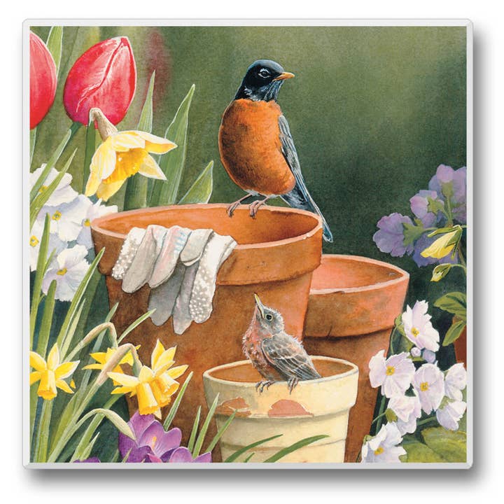 CounterArt/Highland Home/Thirstystone/CoasterStone - Wholesale Retailer Display - Home & Living - Take Flight Pre-Packed Single Coaster Display