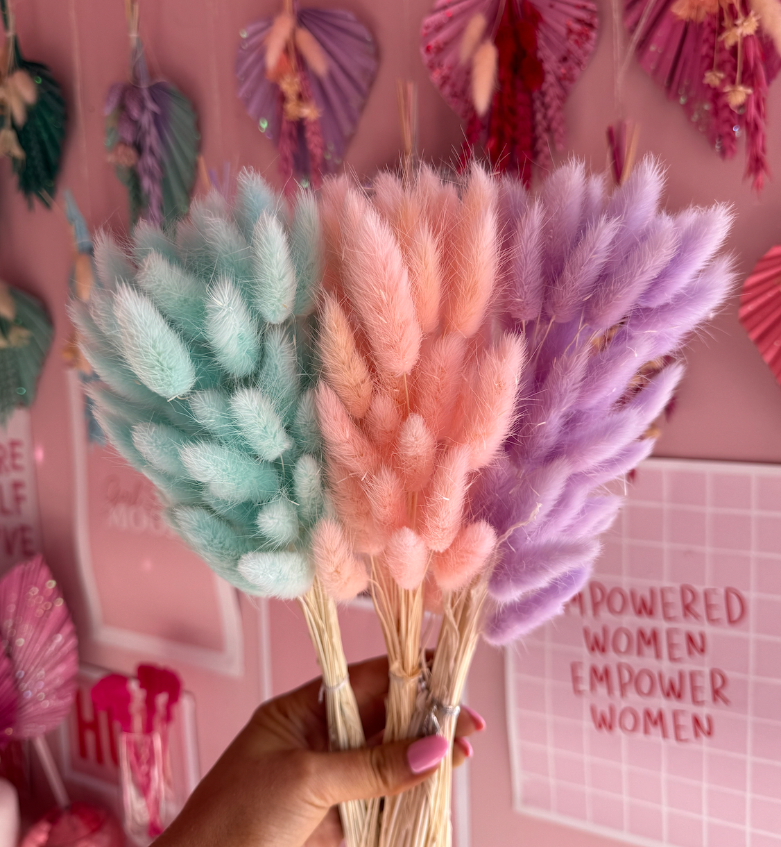 Petals & Pampas – Großhandel Getrocknete/gepresste Blumen – Bunny Tails – Blau, Pink, Lila, Weiß, Orange0