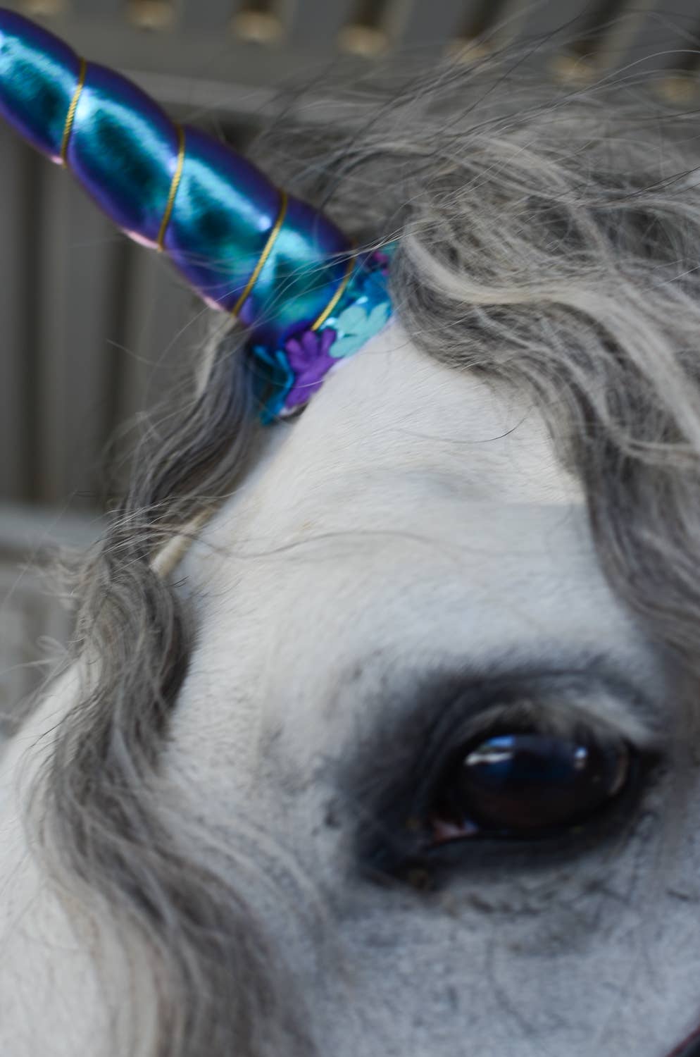 Circus Unicorn Shop - Wholesale Pet Costume - Cat/Dog - Unicorn Horn for Horse3