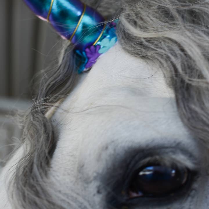 Circus Unicorn Shop - Venta al por mayor Disfraz - Gatos y perros - Cuerno de unicornio para caballo3