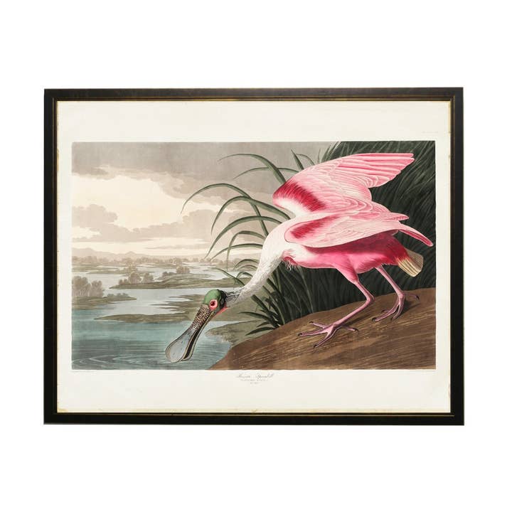 Acqua potabile Pink Spoonbill per la vendita all'ingrosso da parte di Antique Curiosities Inc
