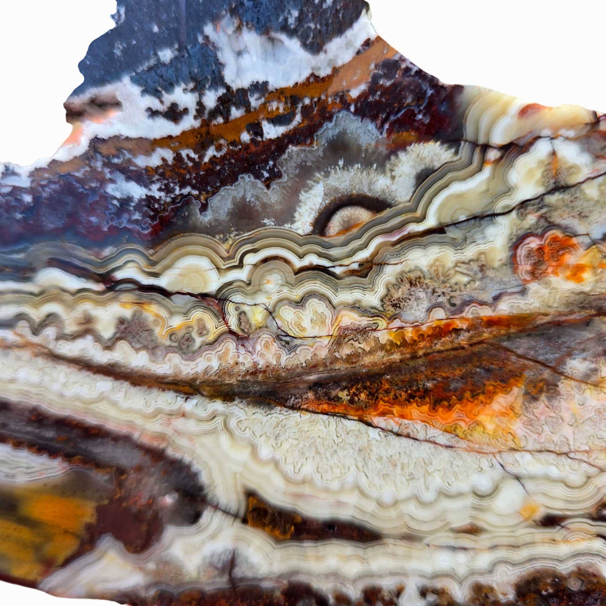 Lapidary Central - Wholesale Spiritual Stone/Crystal - Crazy Lace Agate Slab - Laguna Red Fireworks - Mexican Vintage Quality1