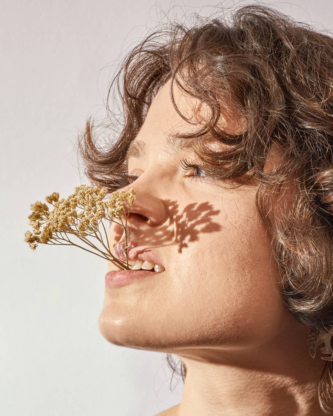 Plūkt – wholesale Loose tea – Yarrow Tea - loose tea, certified organic, herbal tea5