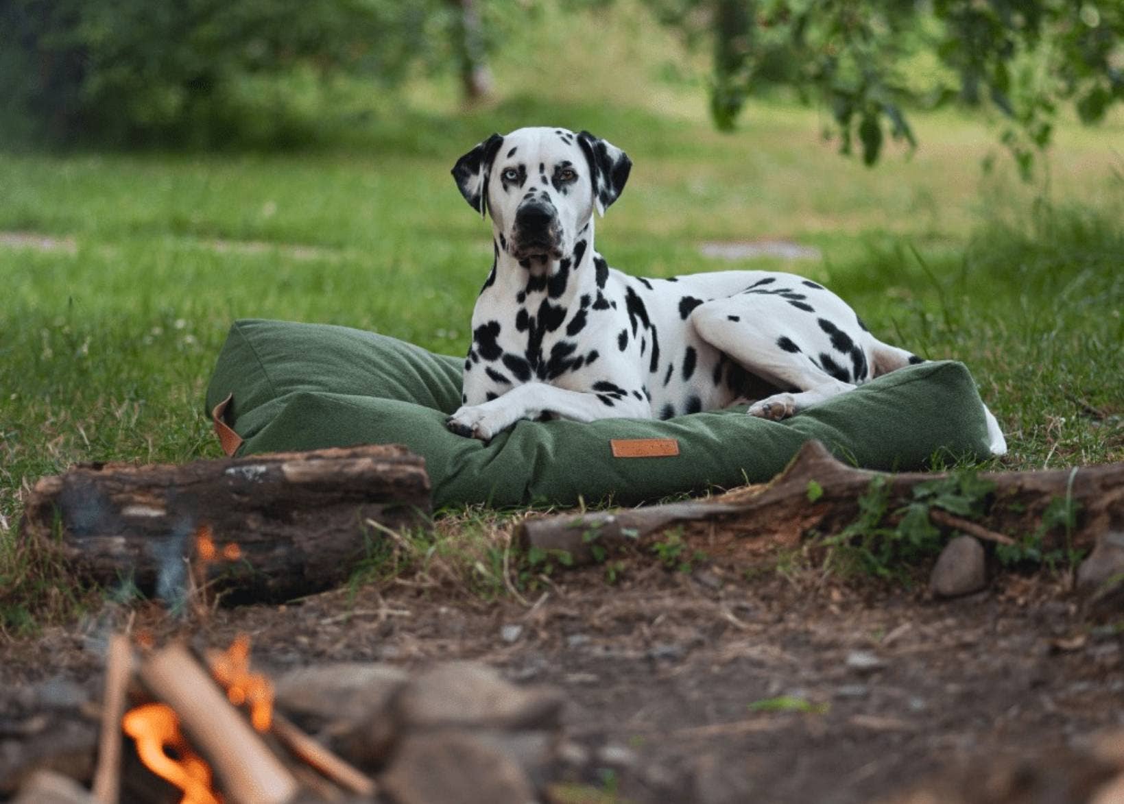 Ralph & Co – wholesale Pet bed – Dog – Luxury Green Pillow Bed With Removable Covers | Richmond1