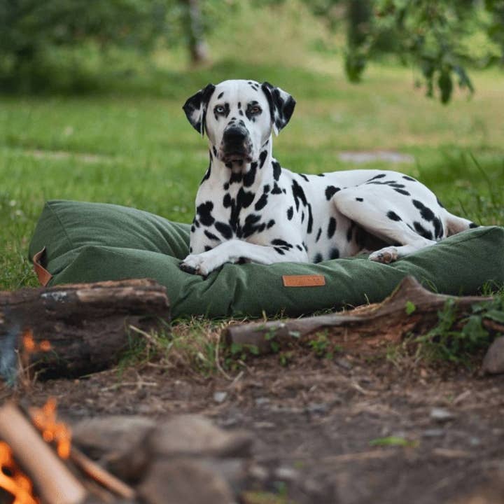 Ralph & Co – wholesale Pet bed – Dog – Luxury Green Pillow Bed With Removable Covers | Richmond1