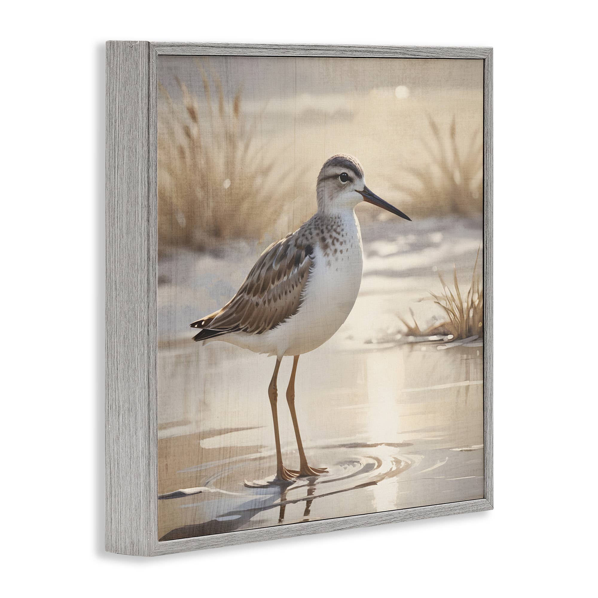 Stupell Industries – wholesale Wall sign – Sunlit Sandpiper in Shallow Water - Framed Wall Art14