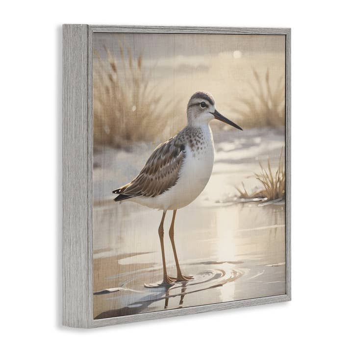 Stupell Industries – wholesale Wall sign – Sunlit Sandpiper in Shallow Water - Framed Wall Art14