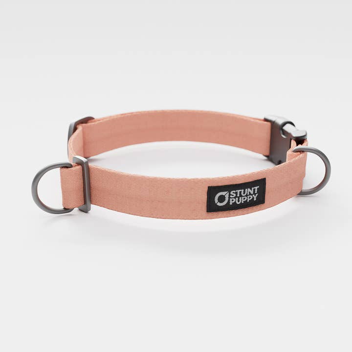 Paloma Monochrome Everyday Collar for wholesale by Stunt Puppy
