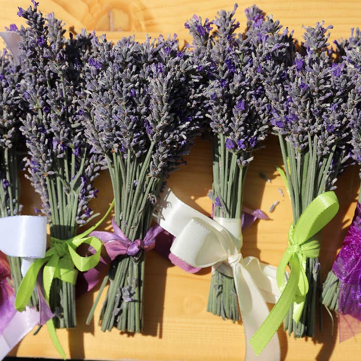 Purple Rain Lavender Farm - Wholesale Dried/Pressed Flowers - Dried french lavender bouquet