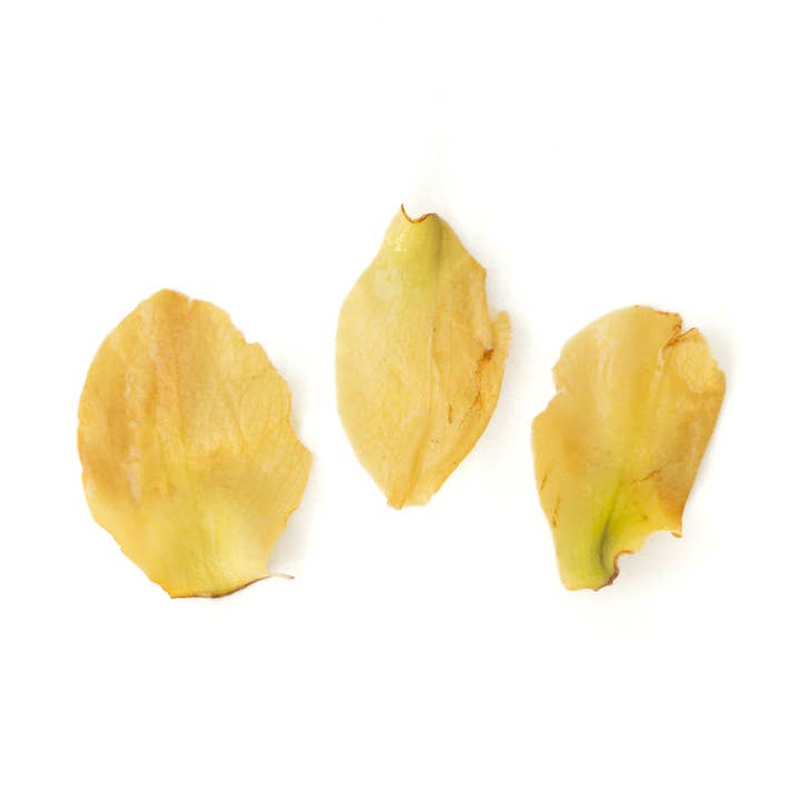 Emballage de détail Magnolia 15g pour la vente par DADOTEA