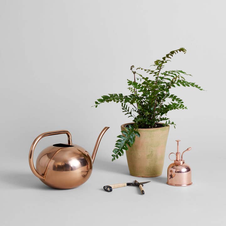 Bloomist - Wholesale Watering Can - Beatrix Watering Can