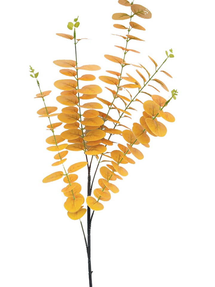 R.EUKALYPTUS X5 TAK.NAT. ORANGE 90cm for engroshandel hos Aguilar Málaga