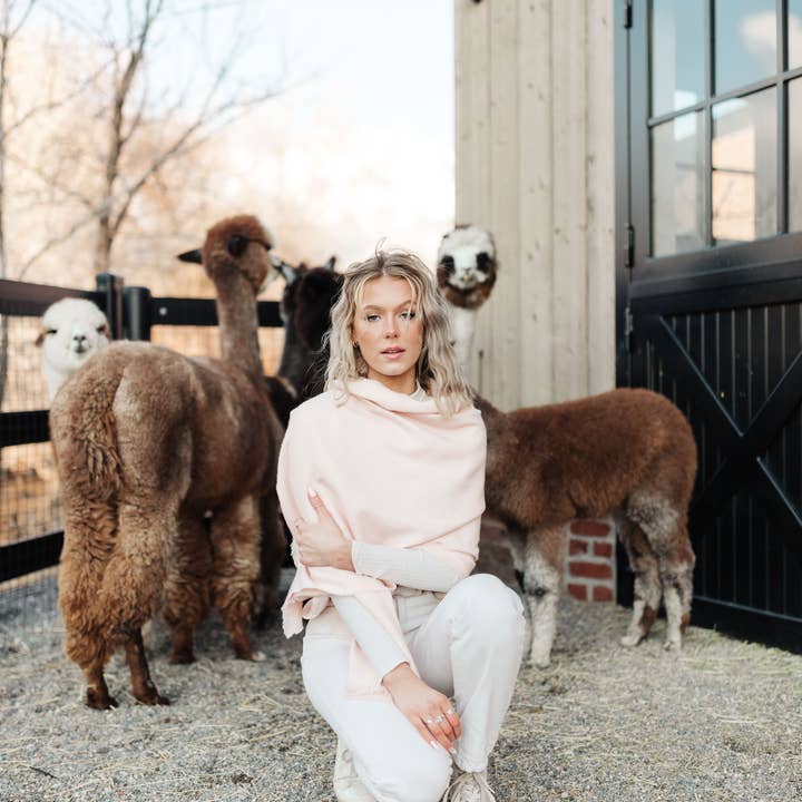 Alpaca Oversized Scarf – Dusty Pink for wholesale by Cocún