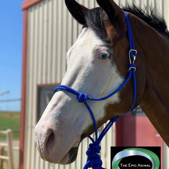 Easy-On Horse Rope Halter w/ 8' Detachable Lead for wholesale by Smart Horse Gear