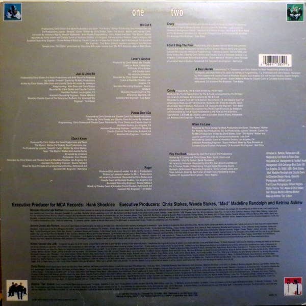 Real Retro - Wholesale Music CD/Vinyl - IMMATURE We Got It Vinyl Record1