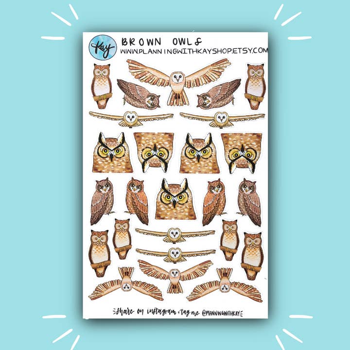 Corujas castanhas por atacado de Planning With Kay