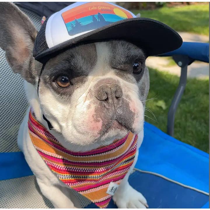 Sam & Nala | intentional style for pets & their people - Wholesale Pet Bandana - Dog - Summer Hat Dog Bandana Dog- Fair Trade + artisan made3