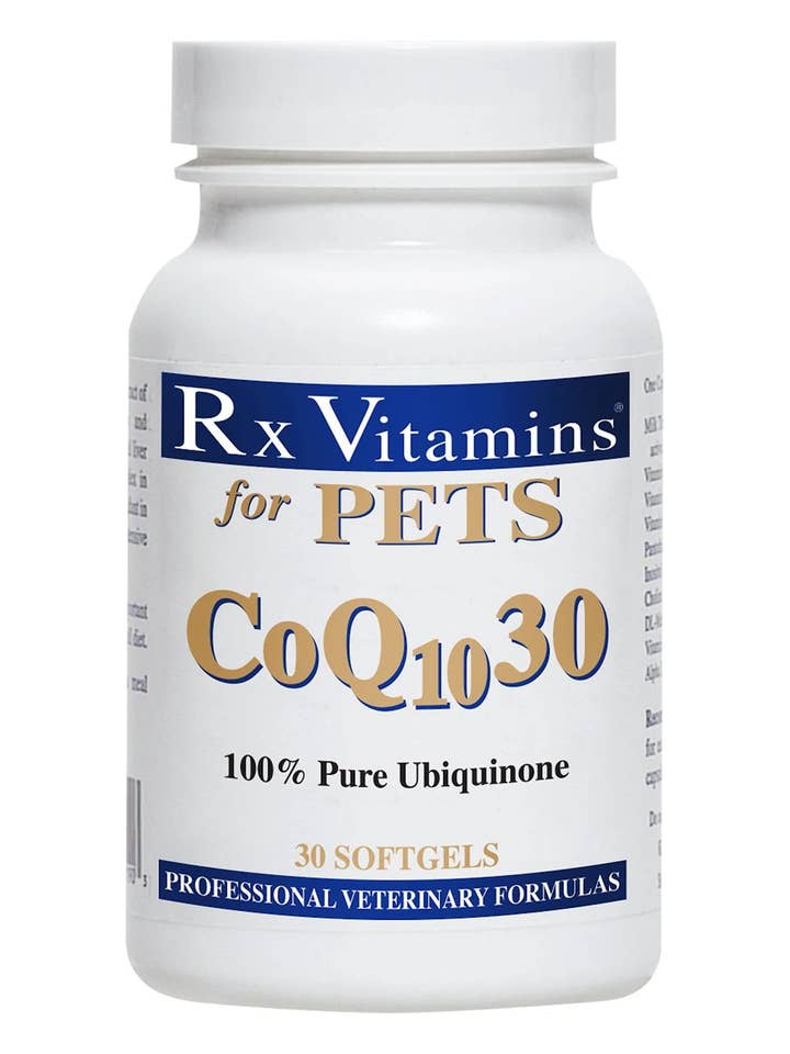 Gélules de supplément cardiaque CoQ10-30 pour animaux de compagnie, 30 unités pour la vente par Healthy Breeds