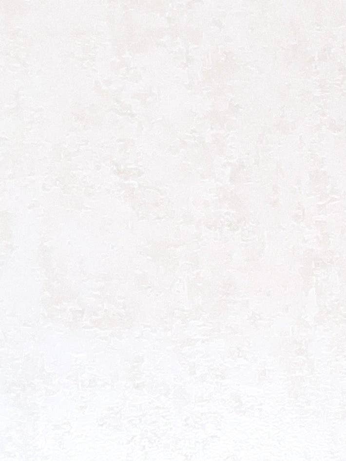 "Nessa" Plus Size Bodystocking for wholesale by Monif C