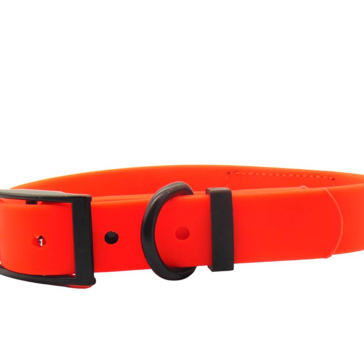 Schmuddelschnute - Vente Collier – chien - Collier pour chien "Schietwedda" néon orange1