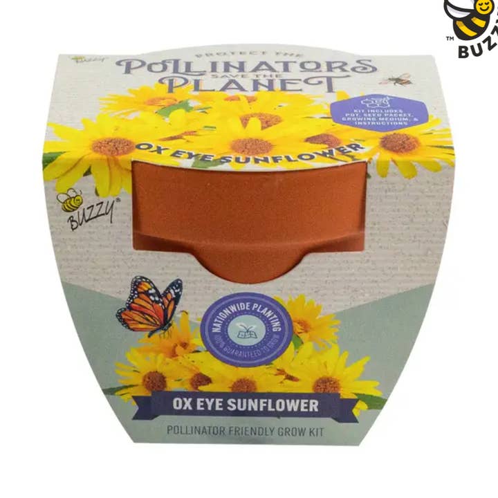 Buzzy Grow Gifts - Wholesale Plant Seeds - Pollinator Classic Terracotta - Ox Eye Sunflower0