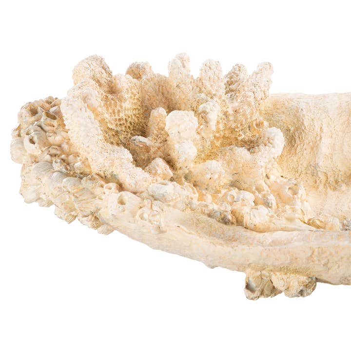 Bowl Amphora Seychelles white H. 10.5 cm, PU 1 for wholesale on Faire4