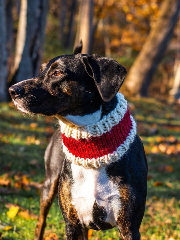 Santa Dog Cowl, Snood, Scarf for wholesale by Knits and Pups