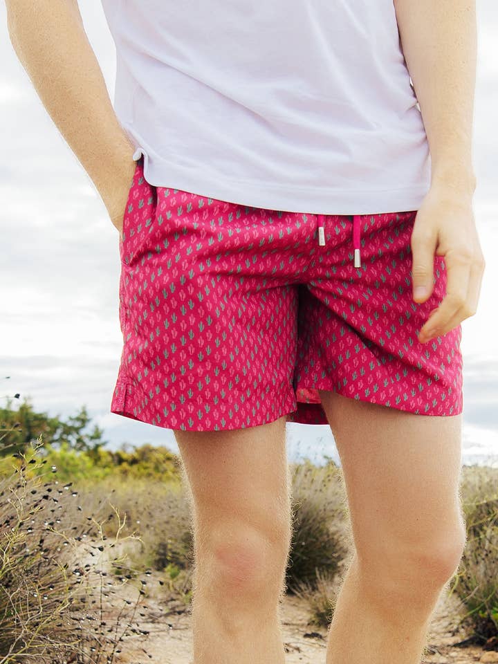 CACTUS per la vendita all'ingrosso da parte di Naïve