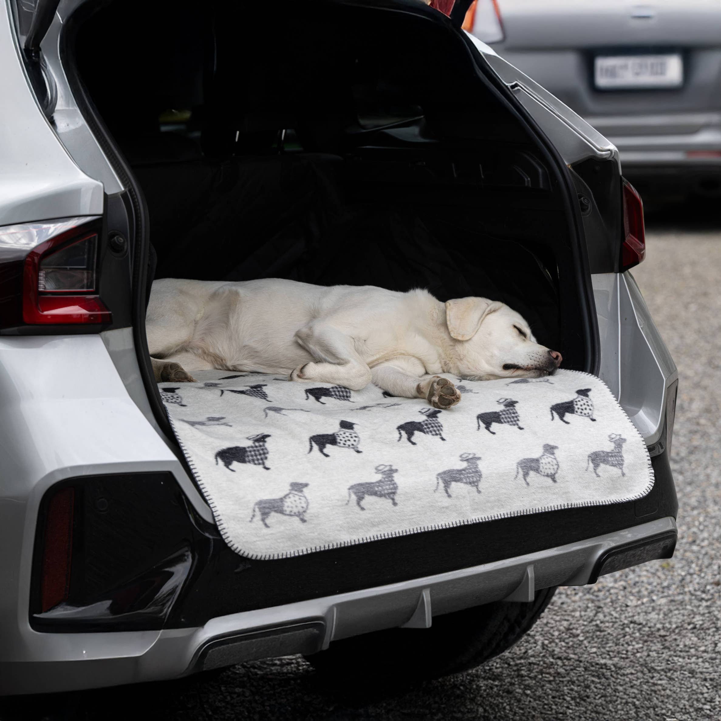 LABONI - Volentis GmbH - Venta al por mayor Edredón - Gatos y perros - TECKEL - MANTA DACHSHUND8