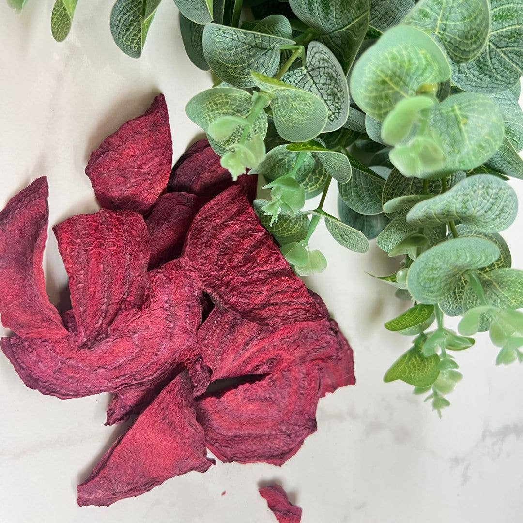 NutriBoom - Wholesale Dried/Dehydrated Vegetables - Freeze Dried Beetroots 13g un 25g packs2