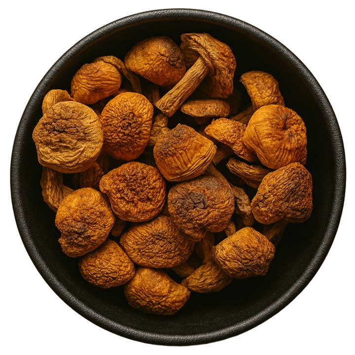 LA Herb – Großhandel Getrocknetes/dehydriertes Gemüse – Mandelpilz Ganz (Agaricus Subrufescens)1