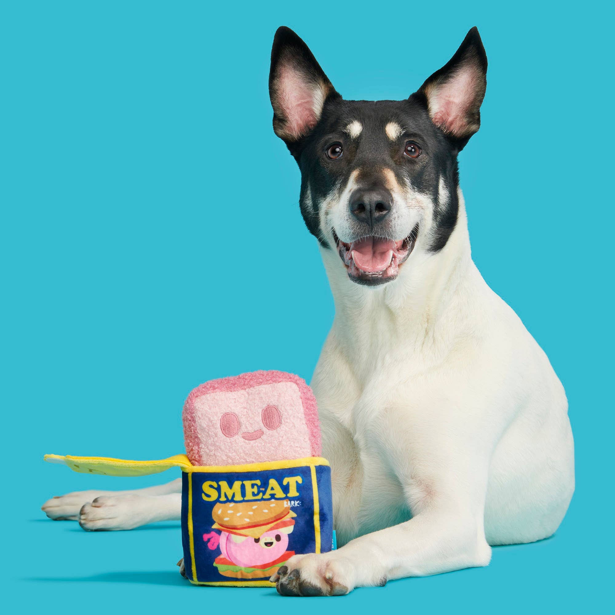 Pet Palette Distribution - Wholesale Pet Plush Toy - Dog - BARK Canned SMEAT Plush Dog Toy XS/S5