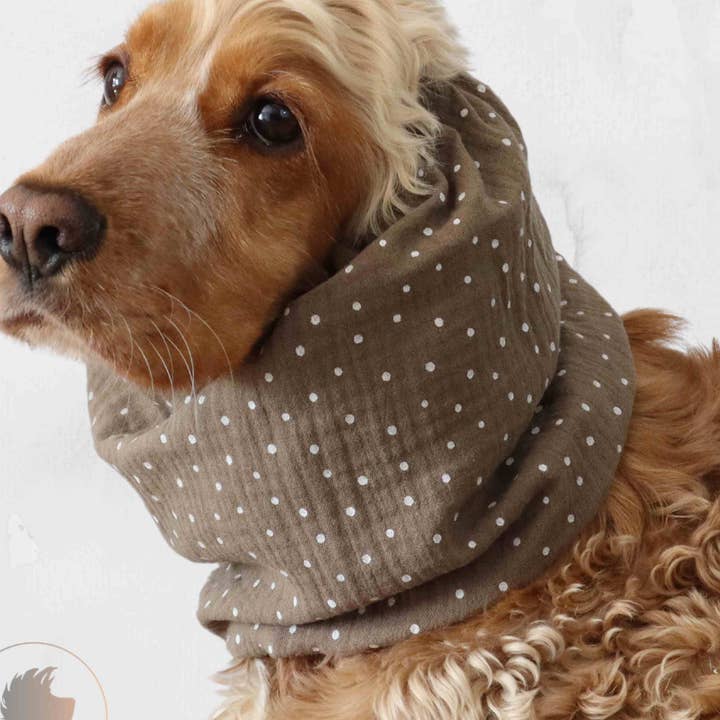 Gola de Algodão para Cão – Musselina Leve | Cacau com Pontos por atacado de Distinguish Me