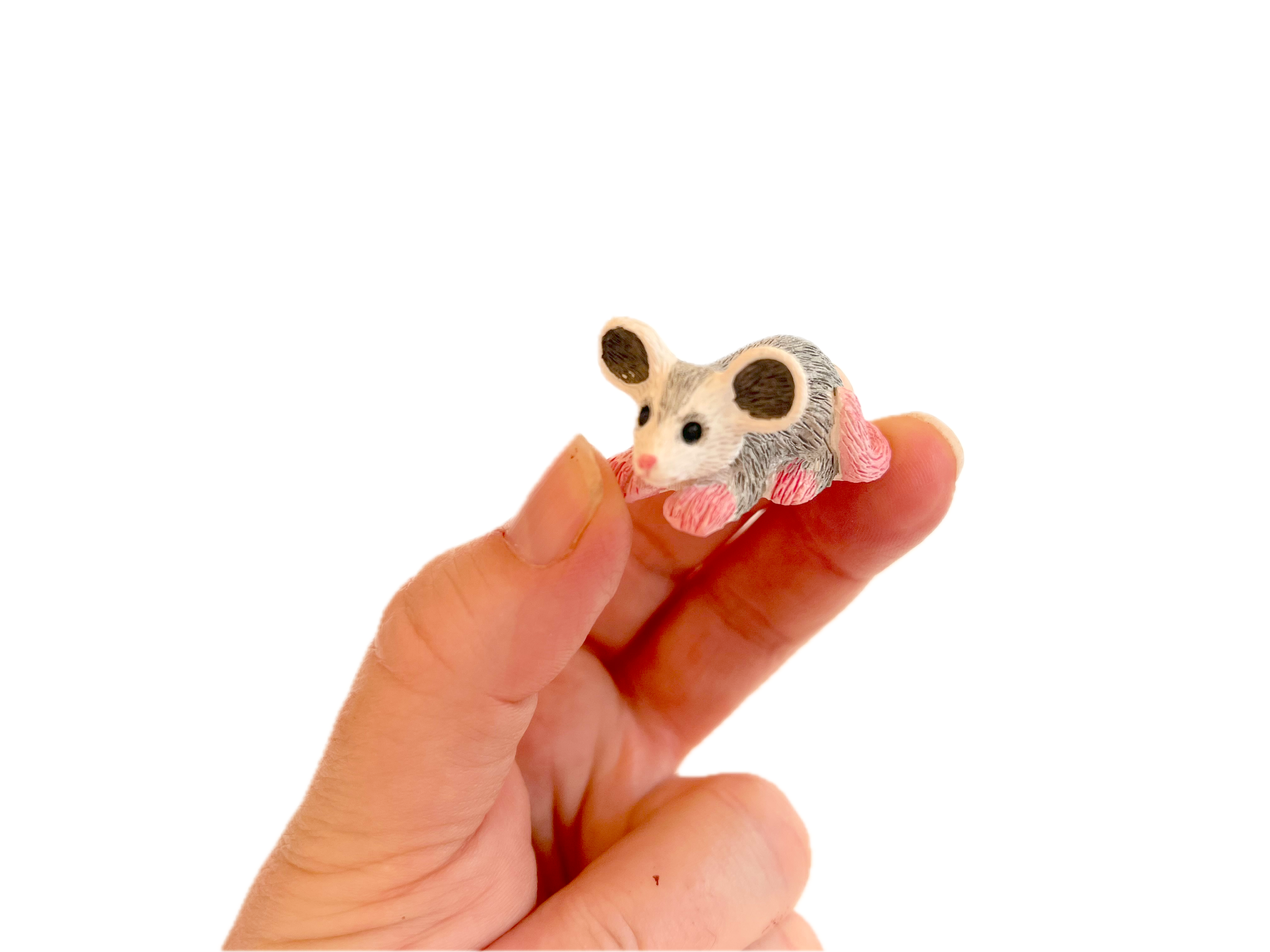 The Gifted Rat - Wholesale Decorative Figurine - Fairy Garden Animal Oppossum Possum Figurine 7