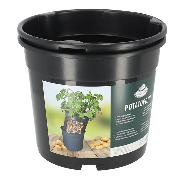 Potato Pot, Plastic, Blue for wholesale by Esschert Design USA